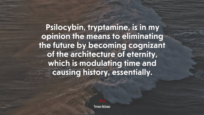 Psilocybin, tryptamine, is in my opinion the means to eliminating the future by becoming cognizant of the architecture of eternity, which is modulating time and causing history, essentially. | Terence McKenna quote
