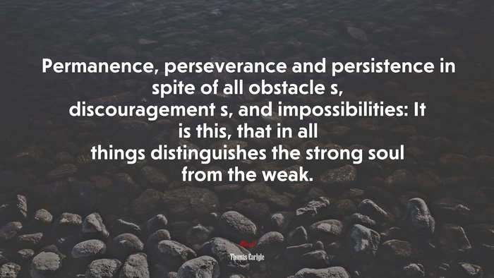 Permanence, perseverance and persistence in spite of all obstacle s ...