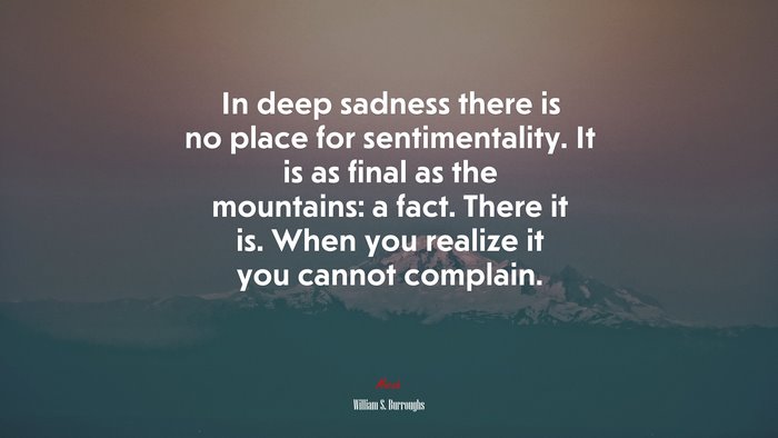 In deep sadness there is no place for sentimentality. It is as final as the mountains: a fact. There it is. When you realize it you cannot complain. | William S. Burroughs quote