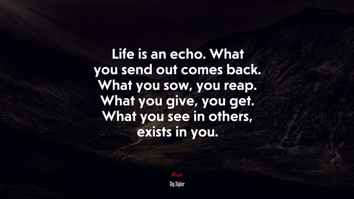 Life is an echo. What you send out comes back. What you sow, you reap. What you give, you get. What you see in others, exists in you. | Zig Ziglar quote