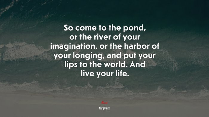 So come to the pond, or the river of your imagination, or the harbor of your longing, and put your lips to the world. And live your life. | Mary Oliver quote