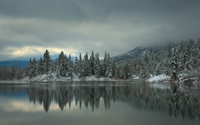 Snow-covered trees reflected in a calm lake under a cloudy sky