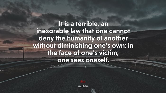 It is a terrible, an inexorable law that one cannot deny the humanity of another without diminishing one’s own: in the face of one’s victim, one sees oneself. | James Baldwin quote