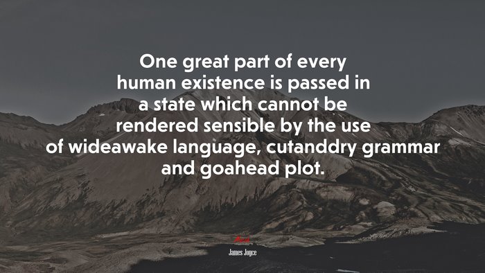 One great part of every human existence is passed in a state which cannot be rendered sensible by the use of wideawake language, cutanddry grammar and goahead plot. | James Joyce quote