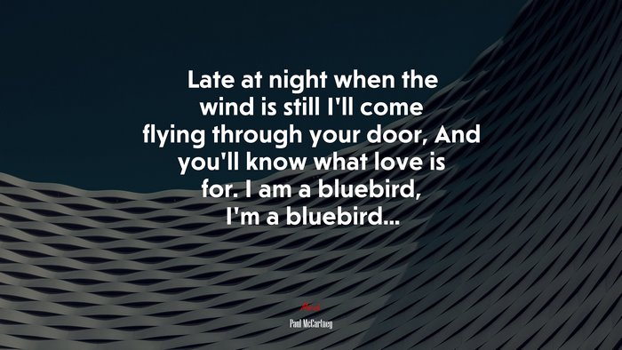 Late at night when the wind is still I’ll come flying through your door, And you’ll know what love is for. I am a bluebird, I’m a bluebird... | Paul McCartney quote