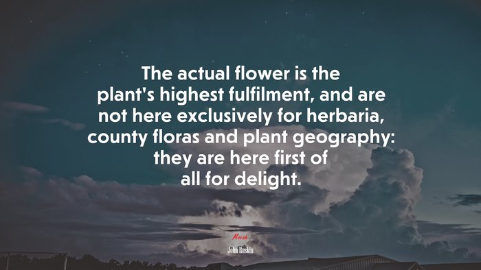 The actual flower is the plant’s highest fulfilment, and are not here exclusively for herbaria, county floras and plant geography: they are here first of all for delight. | John Ruskin quote