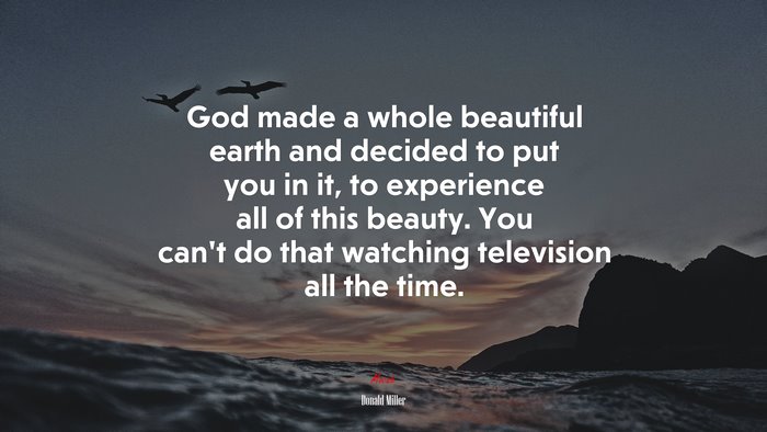 God made a whole beautiful earth and decided to put you in it, to experience all of this beauty. You can’t do that watching television all the time. | Donald Miller quote