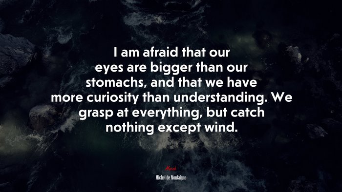 I am afraid that our eyes are bigger than our stomachs, and that we have more curiosity than understanding. We grasp at everything, but catch nothing except wind. | Michel de Montaigne quote