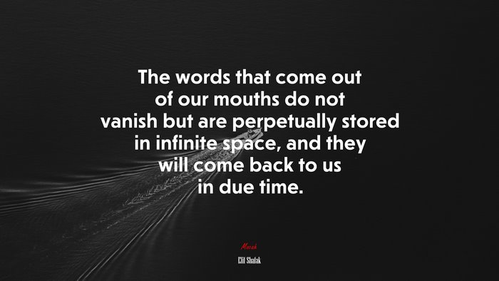 The words that come out of our mouths do not vanish but are perpetually stored in infinite space, and they will come back to us in due time. | Elif Shafak quote