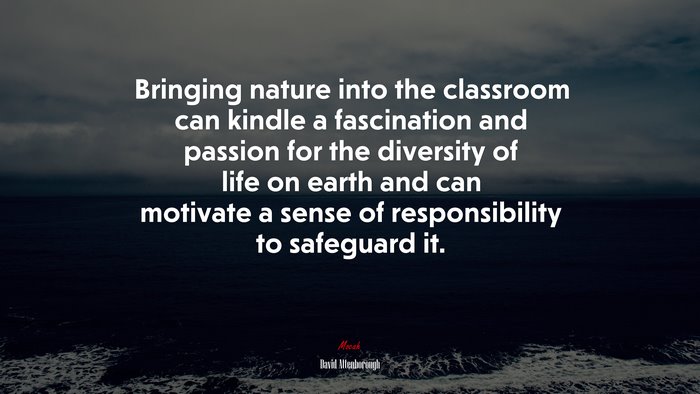 Bringing nature into the classroom can kindle a fascination and passion for the diversity of life on earth and can motivate a sense of responsibility to safeguard it. | David Attenborough quote