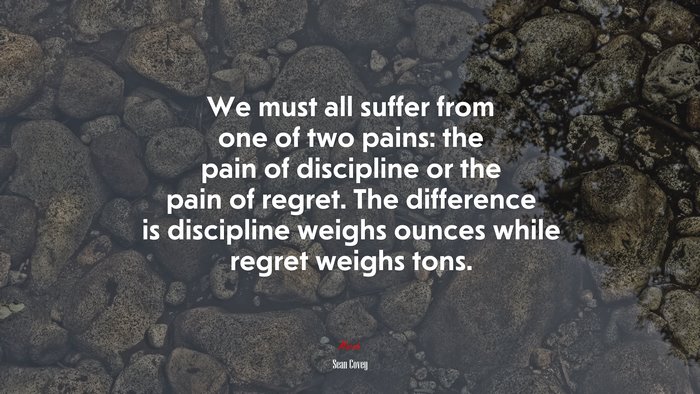 We must all suffer from one of two pains: the pain of discipline or the pain of regret. The difference is discipline weighs ounces while regret weighs tons. | Sean Covey quote