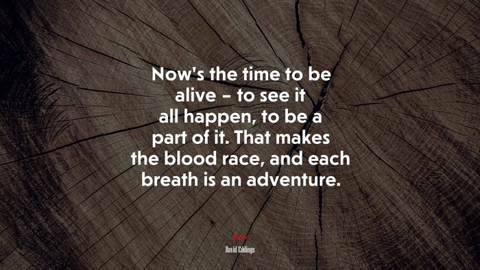 Now’s the time to be alive – to see it all happen, to be a part of it. That makes the blood race, and each breath is an adventure. | David Eddings quote