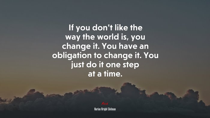 If you don’t like the way the world is, you change it. You have an obligation to change it. You just do it one step at a time. | Marian Wright Edelman quote
