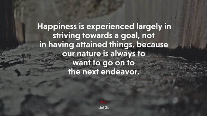 Happiness is experienced largely in striving towards a goal, not in having attained things, because our nature is always to want to go on to the next endeavor. | Albert Ellis quote