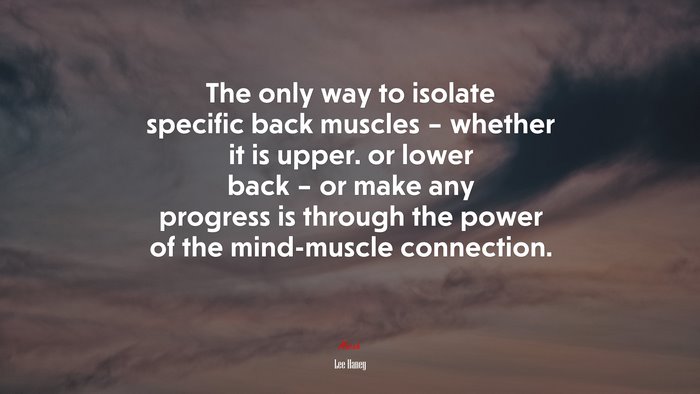 The only way to isolate specific back muscles – whether it is upper. or lower back – or make any progress is through the power of the mind-muscle connection. | Lee Haney quote
