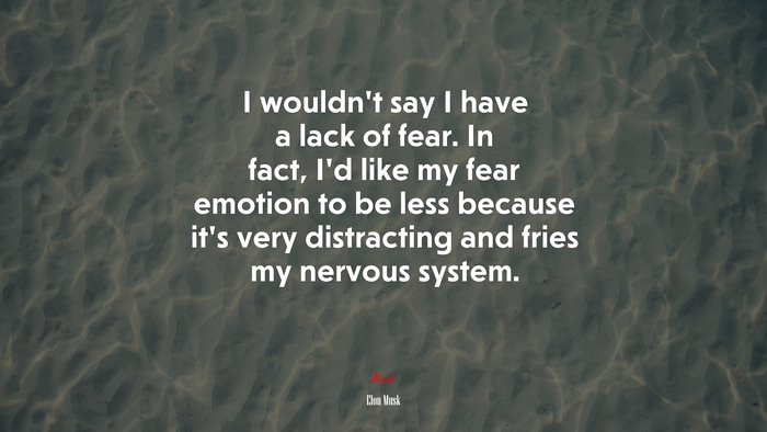 I wouldn’t say I have a lack of fear. In fact, I’d like my fear emotion to be less because it’s very distracting and fries my nervous system. | Elon Musk quote