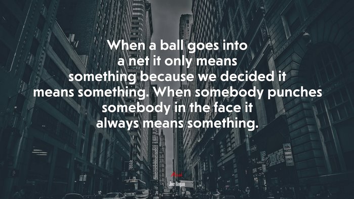 When a ball goes into a net it only means something because we decided it means something. When somebody punches somebody in the face it always means something. | Joe Rogan quote