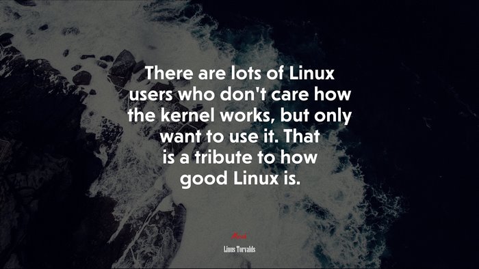 There are lots of Linux users who don’t care how the kernel works, but only want to use it. That is a tribute to how good Linux is. | Linus Torvalds quote