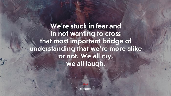 We’re stuck in fear and in not wanting to cross that most important bridge of understanding that we’re more alike or not. We all cry, we all laugh. | Stevie Wonder quote