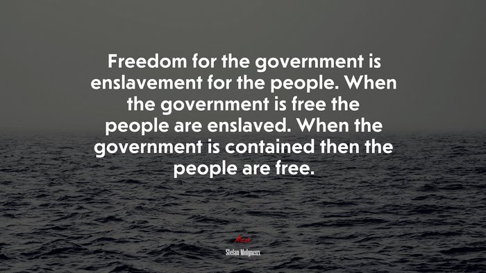 Freedom for the government is enslavement for the people. When the government is free the people are enslaved. When the government is contained then the people are free. | Stefan Molyneux quote