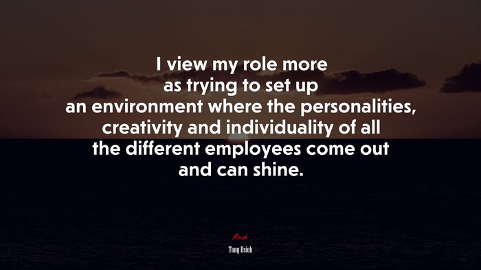 I view my role more as trying to set up an environment where the personalities, creativity and individuality of all the different employees come out and can shine. | Tony Hsieh quote