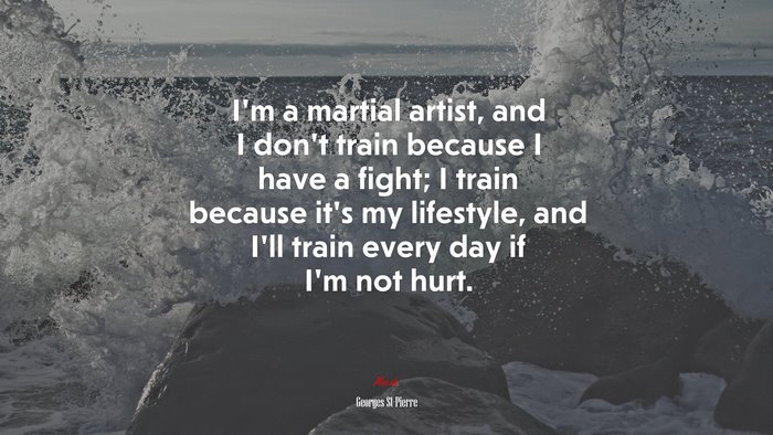 I’m a martial artist, and I don’t train because I have a fight; I train because it’s my lifestyle, and I’ll train every day if I’m not hurt. | Georges St-Pierre quote
