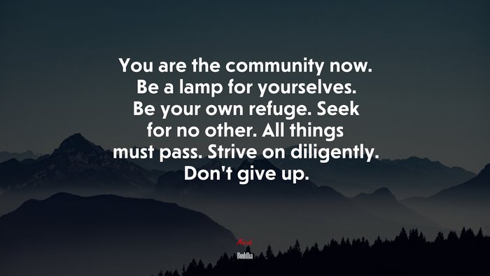 You are the community now. Be a lamp for yourselves. Be your own refuge. Seek for no other. All things must pass. Strive on diligently. Don’t give up. | Buddha quote