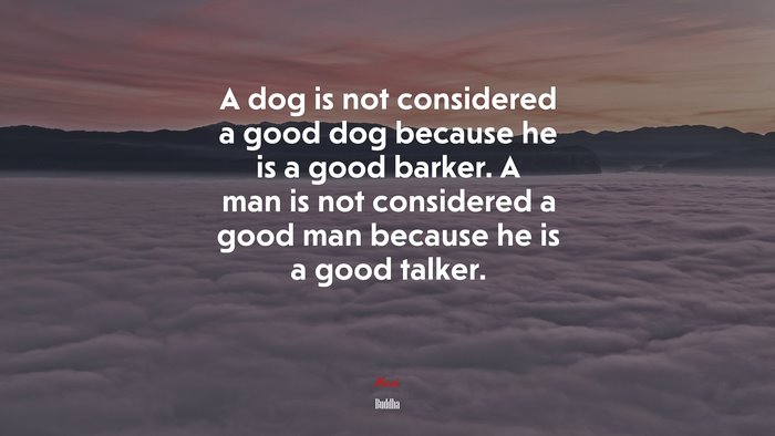 A dog is not considered a good dog because he is a good barker. A man is not considered a good man because he is a good talker. | Buddha quote