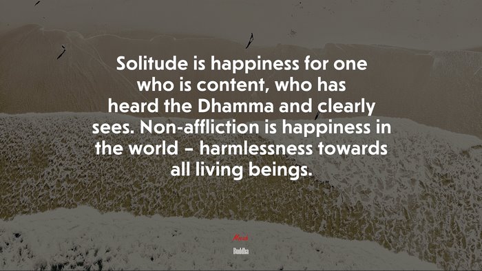 Solitude is happiness for one who is content, who has heard the Dhamma and clearly sees. Non-affliction is happiness in the world – harmlessness towards all living beings. | Buddha quote