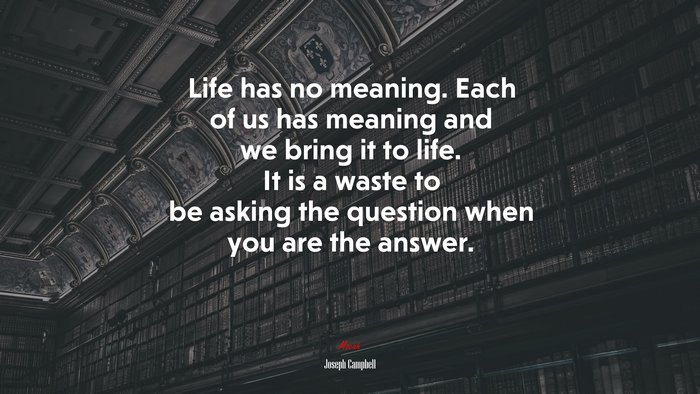 Life has no meaning. Each of us has meaning and we bring it to life. It is a waste to be asking the question when you are the answer. | Joseph Campbell quote