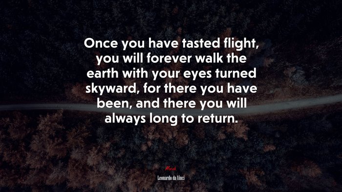 Once you have tasted flight, you will forever walk the earth with your eyes turned skyward, for there you have been, and there you will always long to return. | Leonardo da Vinci quote