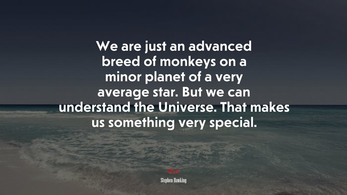 We are just an advanced breed of monkeys on a minor planet of a very average star. But we can understand the Universe. That makes us something very special. | Stephen Hawking quote