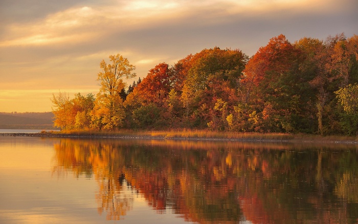 Autumn trees reflecting in a lake at sunset