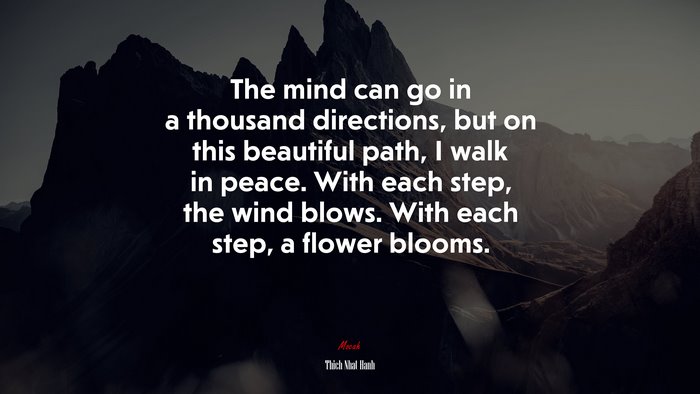 The mind can go in a thousand directions, but on this beautiful path, I walk in peace. With each step, the wind blows. With each step, a flower blooms. | Thich Nhat Hanh quote
