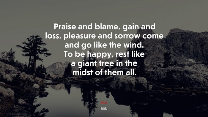 Praise and blame, gain and loss, pleasure and sorrow come and go like the wind. To be happy, rest like a giant tree in the midst of them all. | Buddha quote