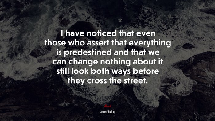 I have noticed that even those who assert that everything is predestined and that we can change nothing about it still look both ways before they cross the street. | Stephen Hawking quote