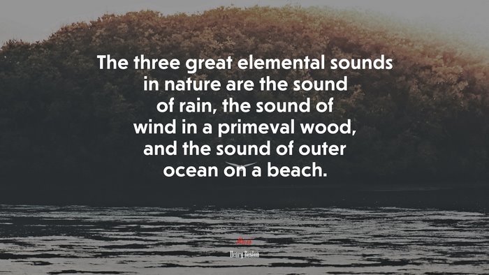 The three great elemental sounds in nature are the sound of rain, the sound of wind in a primeval wood, and the sound of outer ocean on a beach. | Henry Beston quote