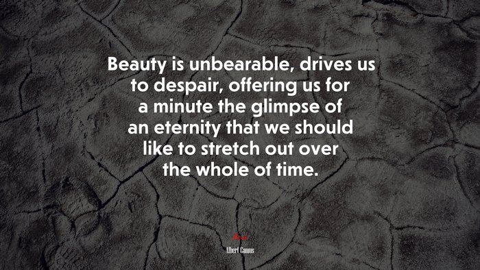 Beauty is unbearable, drives us to despair, offering us for a minute the glimpse of an eternity that we should like to stretch out over the whole of time. | Albert Camus quote
