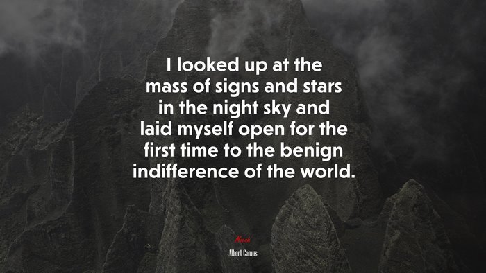 I looked up at the mass of signs and stars in the night sky and laid myself open for the first time to the benign indifference of the world. | Albert Camus quote