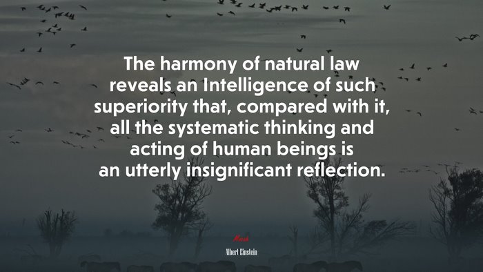 The harmony of natural law reveals an Intelligence of such superiority that, compared with it, all the systematic thinking and acting of human beings is an utterly insignificant reflection. | Albert Einstein quote