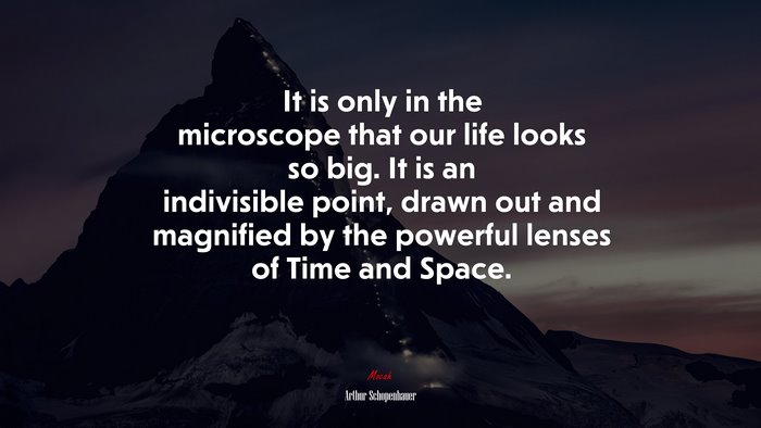 It is only in the microscope that our life looks so big. It is an indivisible point, drawn out and magnified by the powerful lenses of Time and Space. | Arthur Schopenhauer quote