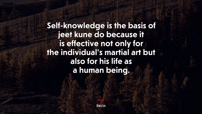 Self-knowledge is the basis of jeet kune do because it is effective not only for the individual’s martial art but also for his life as a human being. | Bruce Lee quote