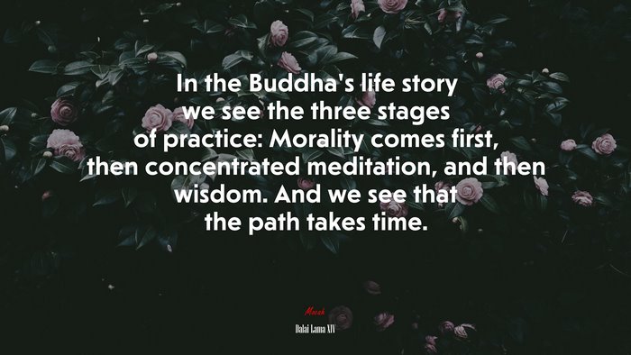 In the Buddha’s life story we see the three stages of practice: Morality comes first, then concentrated meditation, and then wisdom. And we see that the path takes time. | Dalai Lama XIV quote