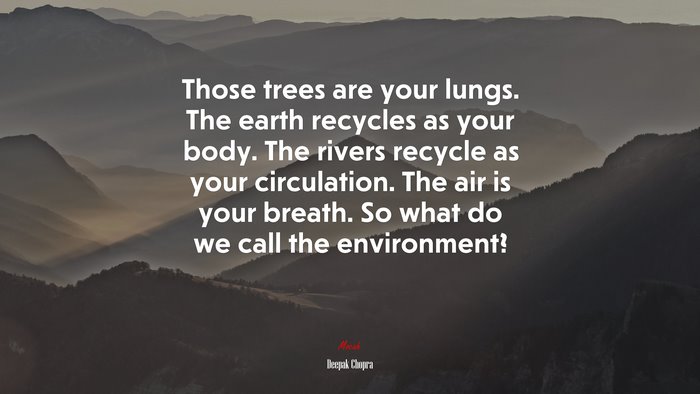Those trees are your lungs. The earth recycles as your body. The rivers recycle as your circulation. The air is your breath. So what do we call the environment? | Deepak Chopra quote