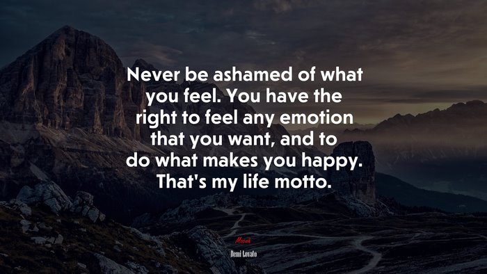 Never be ashamed of what you feel. You have the right to feel any emotion that you want, and to do what makes you happy. That’s my life motto. | Demi Lovato quote