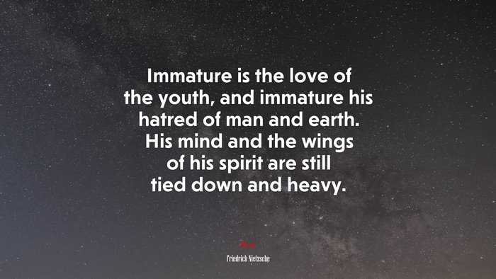 Immature is the love of the youth, and immature his hatred of man and earth. His mind and the wings of his spirit are still tied down and heavy. | Friedrich Nietzsche quote