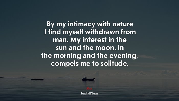 By my intimacy with nature I find myself withdrawn from man. My interest in the sun and the moon, in the morning and the evening, compels me to solitude. | Henry David Thoreau quote