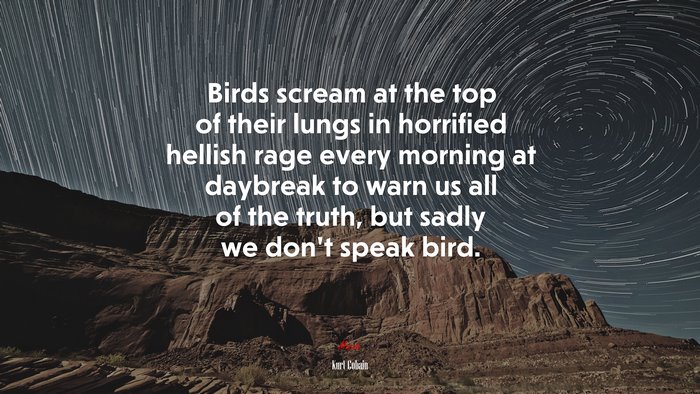 Birds scream at the top of their lungs in horrified hellish rage every morning at daybreak to warn us all of the truth, but sadly we don’t speak bird. | Kurt Cobain quote