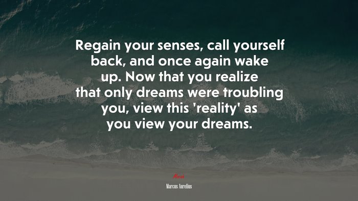 Regain your senses, call yourself back, and once again wake up. Now that you realize that only dreams were troubling you, view this ‘reality’ as you view your dreams. | Marcus Aurelius quote