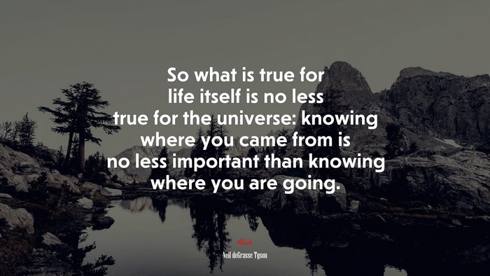 So what is true for life itself is no less true for the universe: knowing where you came from is no less important than knowing where you are going. | Neil deGrasse Tyson quote